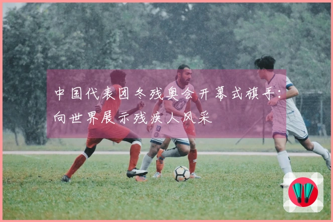 中国代表团冬残奥会开幕式旗手：向世界展示残疾人风采